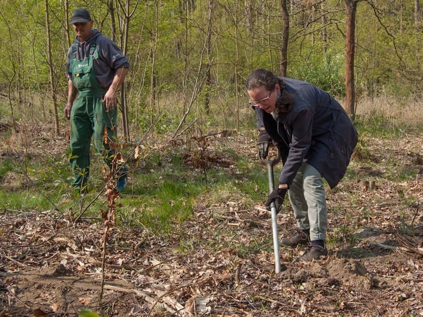 Filta pflanzt als Klimaschutz-Partner von PLANT-MY-TREE® 100 Rotbuchen im Biosphärenreservat Spreewald